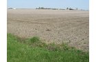 Property photo 39 - 172 Acres Offered in 3 Tracts - Prime Farmland